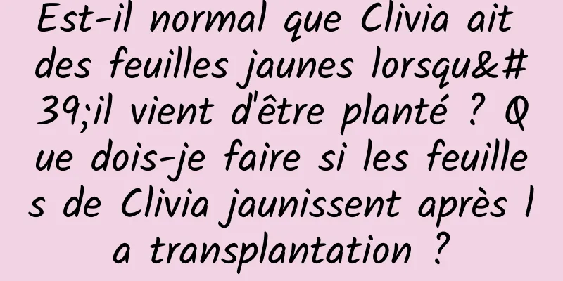 Est-il normal que Clivia ait des feuilles jaunes lorsqu'il vient d'être planté ? Que dois-je faire si les feuilles de Clivia jaunissent après la transplantation ?