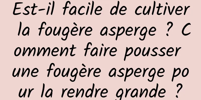 Est-il facile de cultiver la fougère asperge ? Comment faire pousser une fougère asperge pour la rendre grande ?