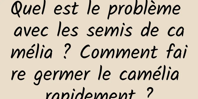 Quel est le problème avec les semis de camélia ? Comment faire germer le camélia rapidement ?