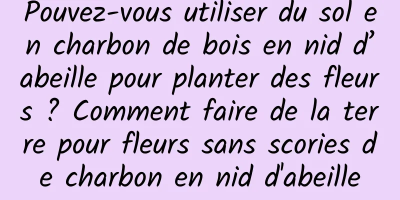 Pouvez-vous utiliser du sol en charbon de bois en nid d’abeille pour planter des fleurs ? Comment faire de la terre pour fleurs sans scories de charbon en nid d'abeille