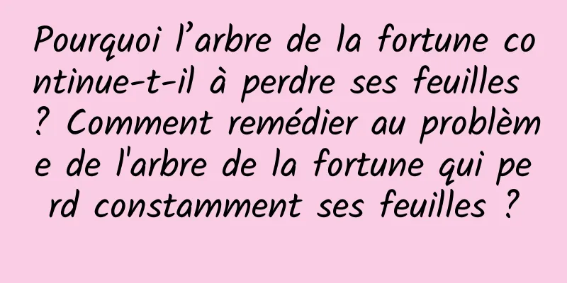 Pourquoi l’arbre de la fortune continue-t-il à perdre ses feuilles ? Comment remédier au problème de l'arbre de la fortune qui perd constamment ses feuilles ?