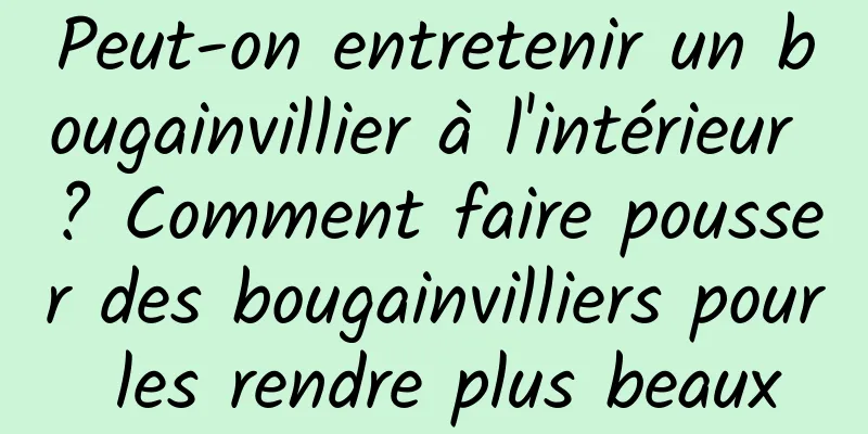Peut-on entretenir un bougainvillier à l'intérieur ? Comment faire pousser des bougainvilliers pour les rendre plus beaux