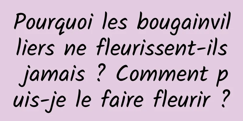 Pourquoi les bougainvilliers ne fleurissent-ils jamais ? Comment puis-je le faire fleurir ?
