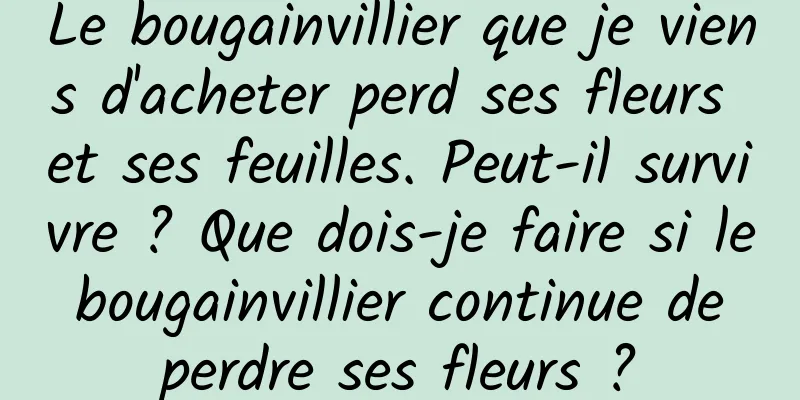 Le bougainvillier que je viens d'acheter perd ses fleurs et ses feuilles. Peut-il survivre ? Que dois-je faire si le bougainvillier continue de perdre ses fleurs ?