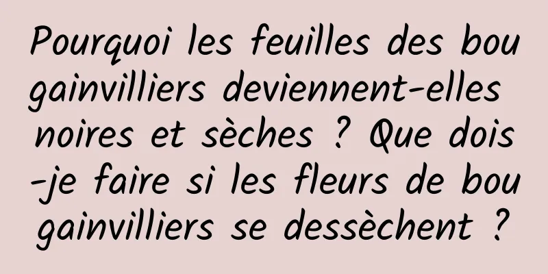 Pourquoi les feuilles des bougainvilliers deviennent-elles noires et sèches ? Que dois-je faire si les fleurs de bougainvilliers se dessèchent ?