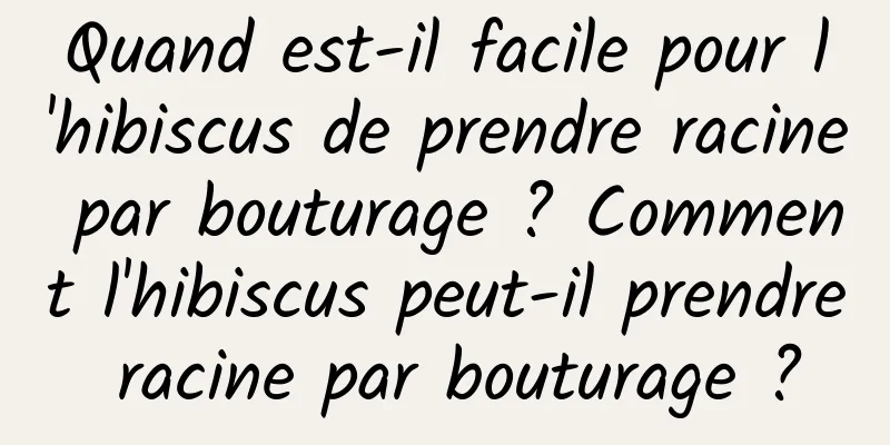 Quand est-il facile pour l'hibiscus de prendre racine par bouturage ? Comment l'hibiscus peut-il prendre racine par bouturage ?
