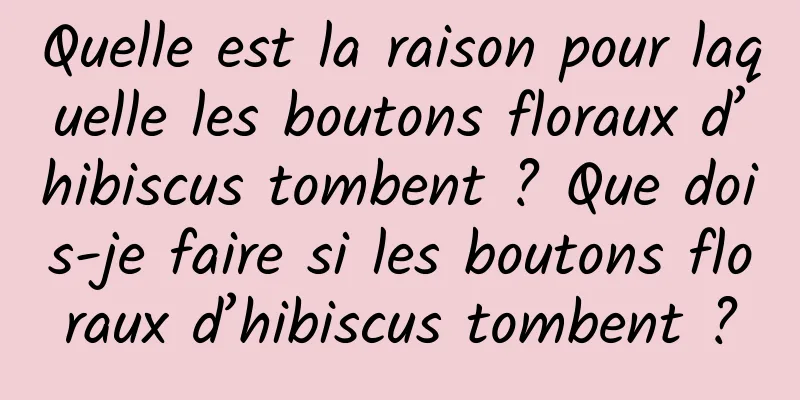 Quelle est la raison pour laquelle les boutons floraux d’hibiscus tombent ? Que dois-je faire si les boutons floraux d’hibiscus tombent ?