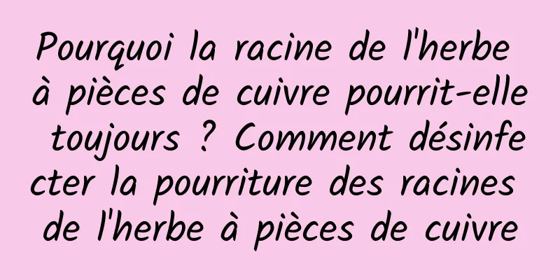 Pourquoi la racine de l'herbe à pièces de cuivre pourrit-elle toujours ? Comment désinfecter la pourriture des racines de l'herbe à pièces de cuivre