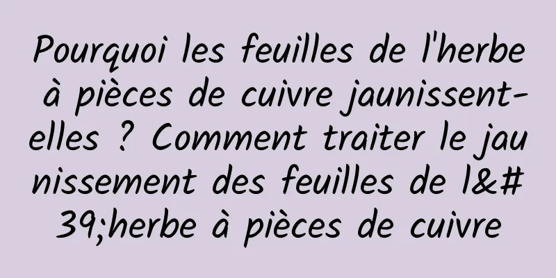 Pourquoi les feuilles de l'herbe à pièces de cuivre jaunissent-elles ? Comment traiter le jaunissement des feuilles de l'herbe à pièces de cuivre