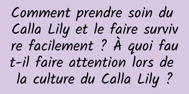 Comment prendre soin du Calla Lily et le faire survivre facilement ? À quoi faut-il faire attention lors de la culture du Calla Lily ?