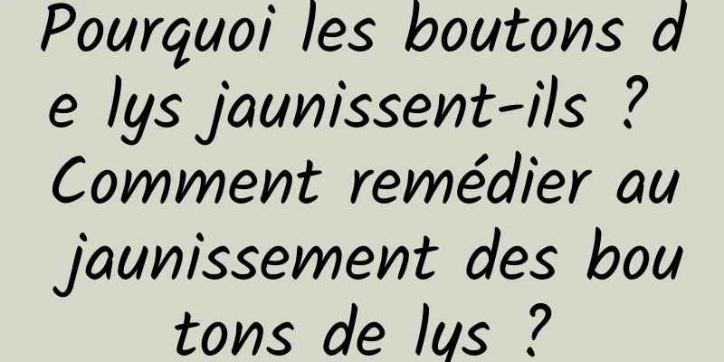 Pourquoi les boutons de lys jaunissent-ils ? Comment remédier au jaunissement des boutons de lys ?