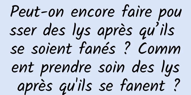 Peut-on encore faire pousser des lys après qu’ils se soient fanés ? Comment prendre soin des lys après qu'ils se fanent ?