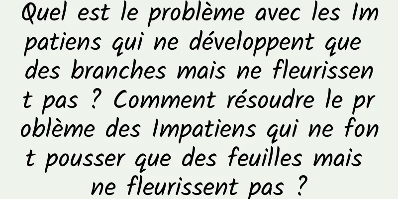 Quel est le problème avec les Impatiens qui ne développent que des branches mais ne fleurissent pas ? Comment résoudre le problème des Impatiens qui ne font pousser que des feuilles mais ne fleurissent pas ?