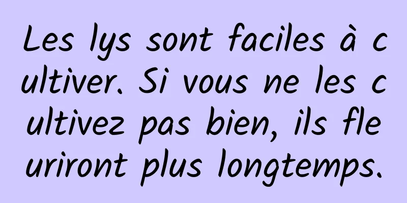 Les lys sont faciles à cultiver. Si vous ne les cultivez pas bien, ils fleuriront plus longtemps.