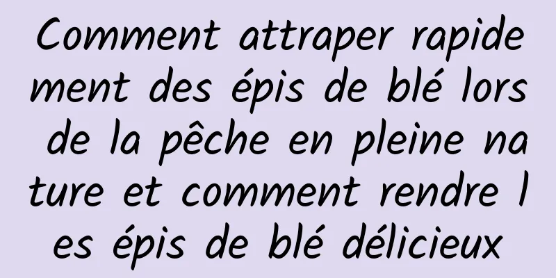 Comment attraper rapidement des épis de blé lors de la pêche en pleine nature et comment rendre les épis de blé délicieux