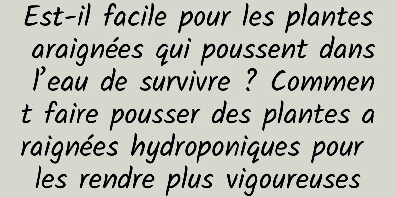 Est-il facile pour les plantes araignées qui poussent dans l’eau de survivre ? Comment faire pousser des plantes araignées hydroponiques pour les rendre plus vigoureuses