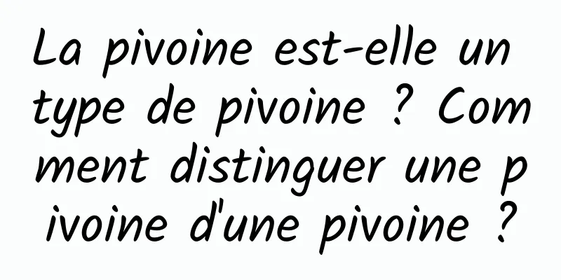 La pivoine est-elle un type de pivoine ? Comment distinguer une pivoine d'une pivoine ?