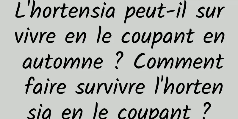 L'hortensia peut-il survivre en le coupant en automne ? Comment faire survivre l'hortensia en le coupant ?
