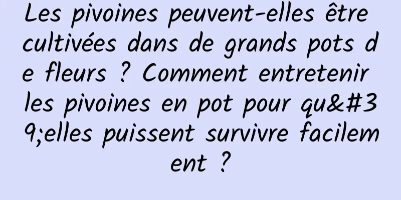 Les pivoines peuvent-elles être cultivées dans de grands pots de fleurs ? Comment entretenir les pivoines en pot pour qu'elles puissent survivre facilement ?