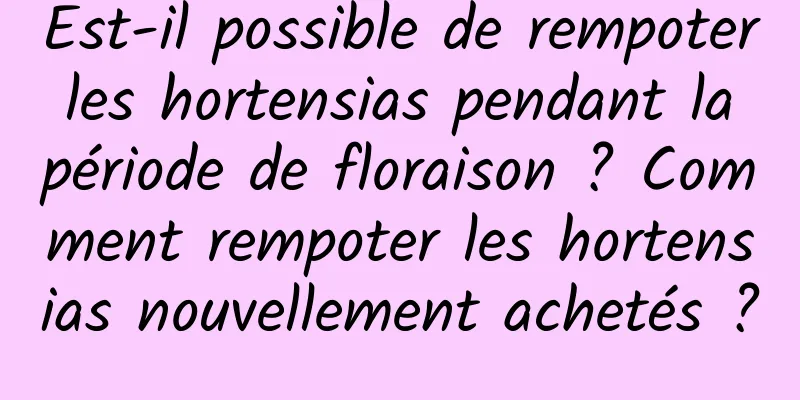 Est-il possible de rempoter les hortensias pendant la période de floraison ? Comment rempoter les hortensias nouvellement achetés ?