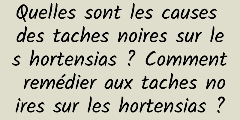 Quelles sont les causes des taches noires sur les hortensias ? Comment remédier aux taches noires sur les hortensias ?