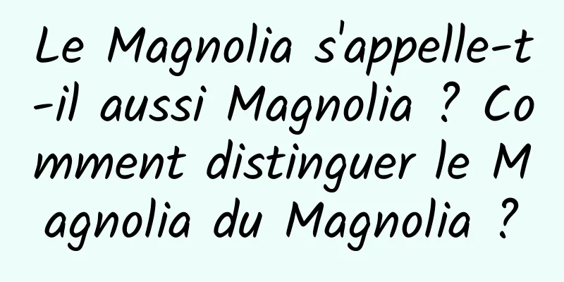 Le Magnolia s'appelle-t-il aussi Magnolia ? Comment distinguer le Magnolia du Magnolia ?