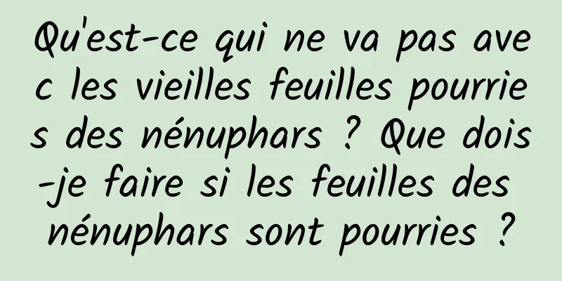 Qu'est-ce qui ne va pas avec les vieilles feuilles pourries des nénuphars ? Que dois-je faire si les feuilles des nénuphars sont pourries ?