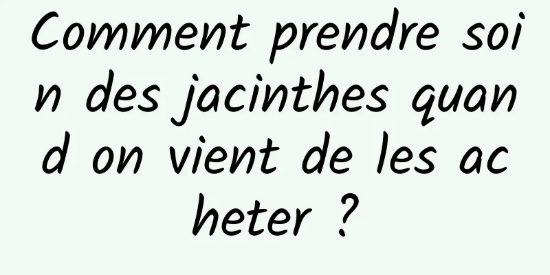Comment prendre soin des jacinthes quand on vient de les acheter ?
