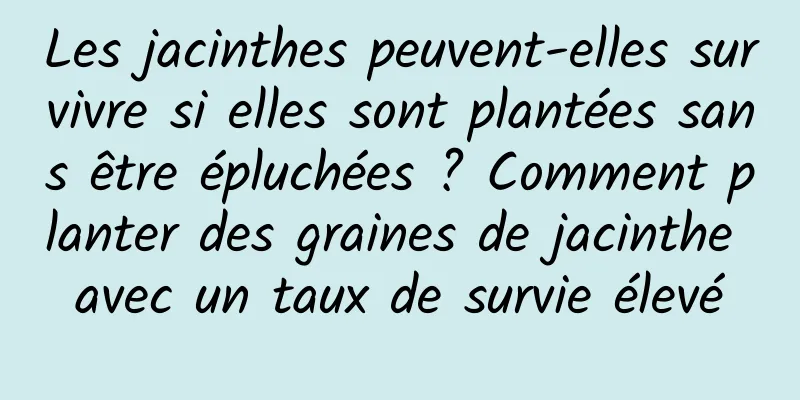 Les jacinthes peuvent-elles survivre si elles sont plantées sans être épluchées ? Comment planter des graines de jacinthe avec un taux de survie élevé