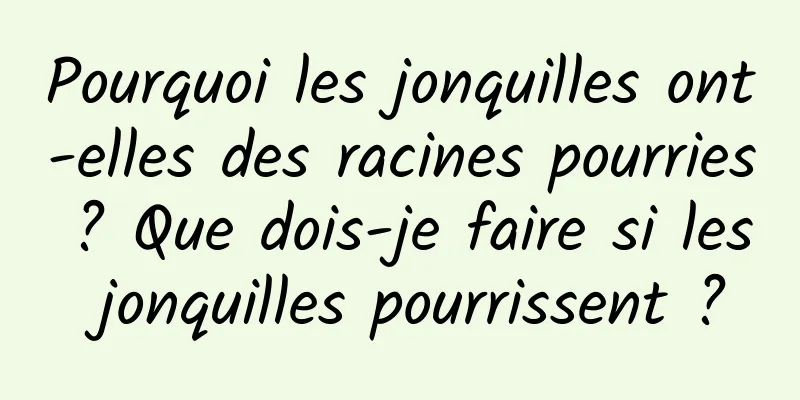 Pourquoi les jonquilles ont-elles des racines pourries ? Que dois-je faire si les jonquilles pourrissent ?