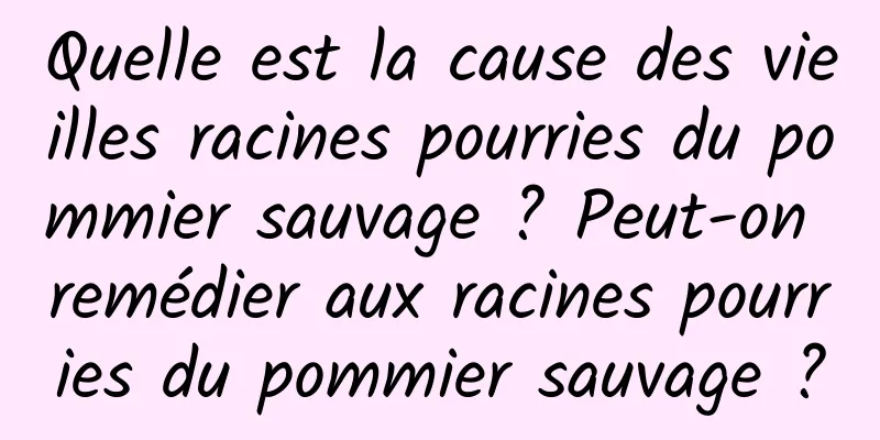 Quelle est la cause des vieilles racines pourries du pommier sauvage ? Peut-on remédier aux racines pourries du pommier sauvage ?