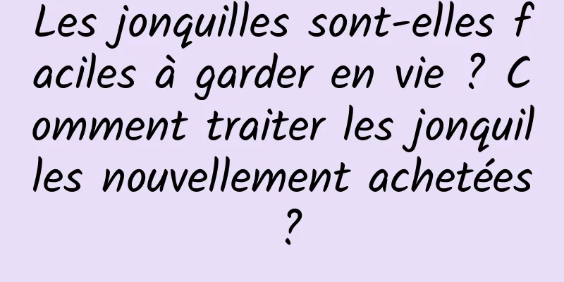 Les jonquilles sont-elles faciles à garder en vie ? Comment traiter les jonquilles nouvellement achetées ?