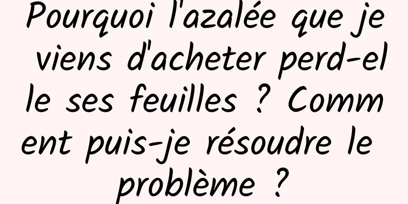 Pourquoi l'azalée que je viens d'acheter perd-elle ses feuilles ? Comment puis-je résoudre le problème ?
