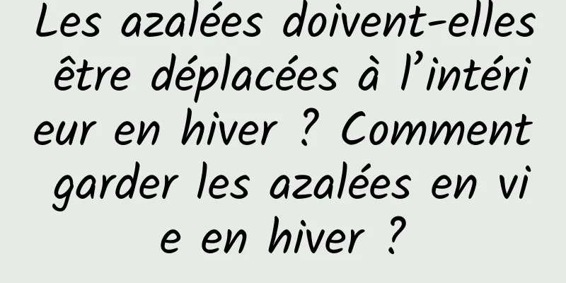 Les azalées doivent-elles être déplacées à l’intérieur en hiver ? Comment garder les azalées en vie en hiver ?