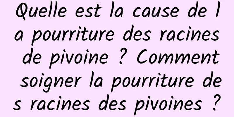Quelle est la cause de la pourriture des racines de pivoine ? Comment soigner la pourriture des racines des pivoines ?