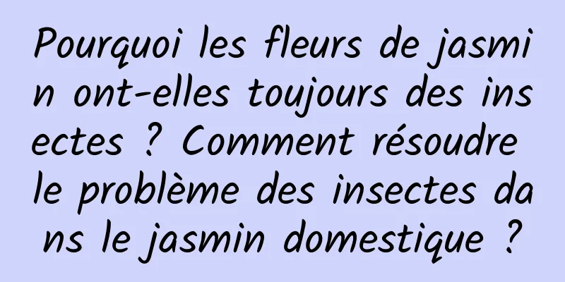 Pourquoi les fleurs de jasmin ont-elles toujours des insectes ? Comment résoudre le problème des insectes dans le jasmin domestique ?