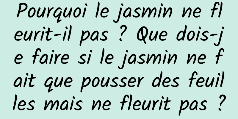 Pourquoi le jasmin ne fleurit-il pas ? Que dois-je faire si le jasmin ne fait que pousser des feuilles mais ne fleurit pas ?