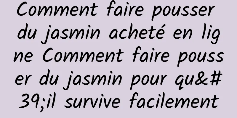 Comment faire pousser du jasmin acheté en ligne Comment faire pousser du jasmin pour qu'il survive facilement
