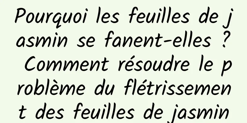 Pourquoi les feuilles de jasmin se fanent-elles ? Comment résoudre le problème du flétrissement des feuilles de jasmin