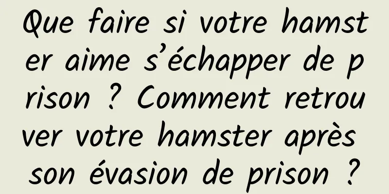 Que faire si votre hamster aime s’échapper de prison ? Comment retrouver votre hamster après son évasion de prison ?