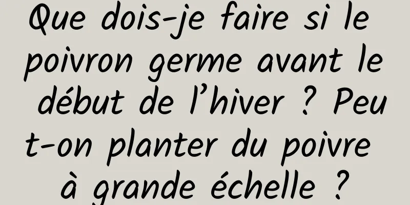 Que dois-je faire si le poivron germe avant le début de l’hiver ? Peut-on planter du poivre à grande échelle ?