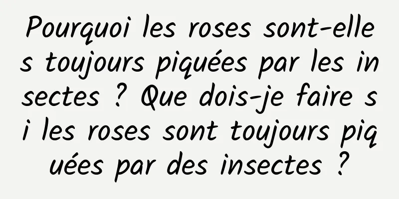 Pourquoi les roses sont-elles toujours piquées par les insectes ? Que dois-je faire si les roses sont toujours piquées par des insectes ?