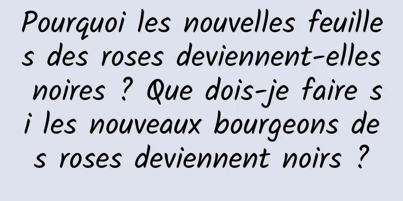 Pourquoi les nouvelles feuilles des roses deviennent-elles noires ? Que dois-je faire si les nouveaux bourgeons des roses deviennent noirs ?
