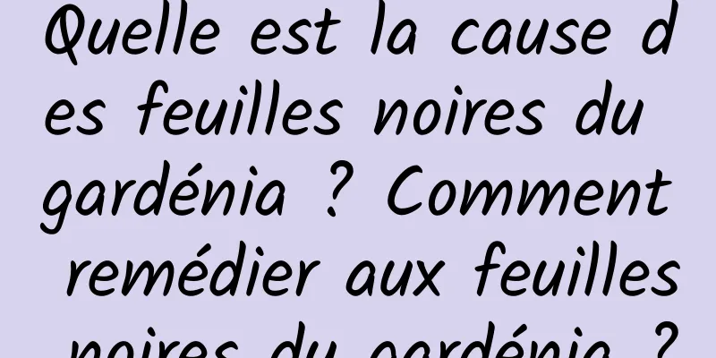 Quelle est la cause des feuilles noires du gardénia ? Comment remédier aux feuilles noires du gardénia ?