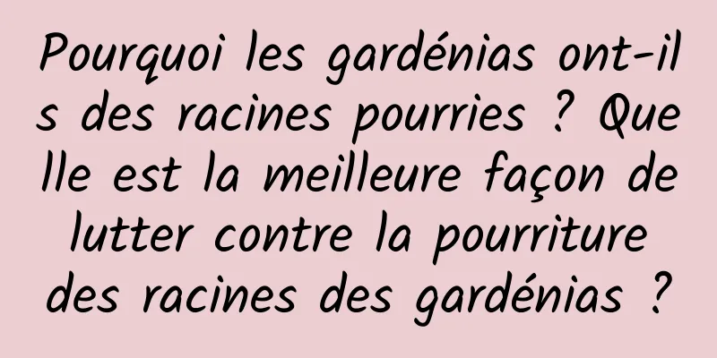 Pourquoi les gardénias ont-ils des racines pourries ? Quelle est la meilleure façon de lutter contre la pourriture des racines des gardénias ?