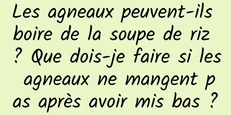 Les agneaux peuvent-ils boire de la soupe de riz ? Que dois-je faire si les agneaux ne mangent pas après avoir mis bas ?