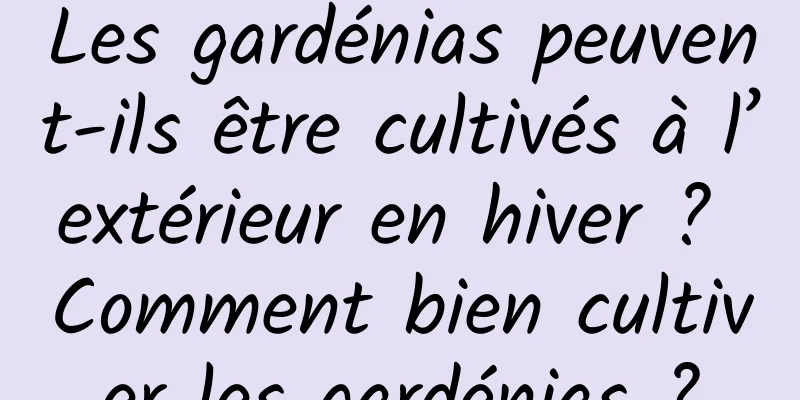 Les gardénias peuvent-ils être cultivés à l’extérieur en hiver ? Comment bien cultiver les gardénias ?