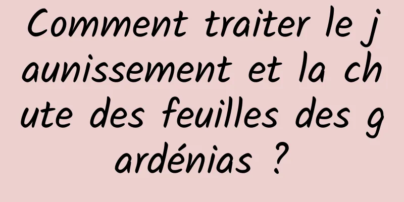 Comment traiter le jaunissement et la chute des feuilles des gardénias ?