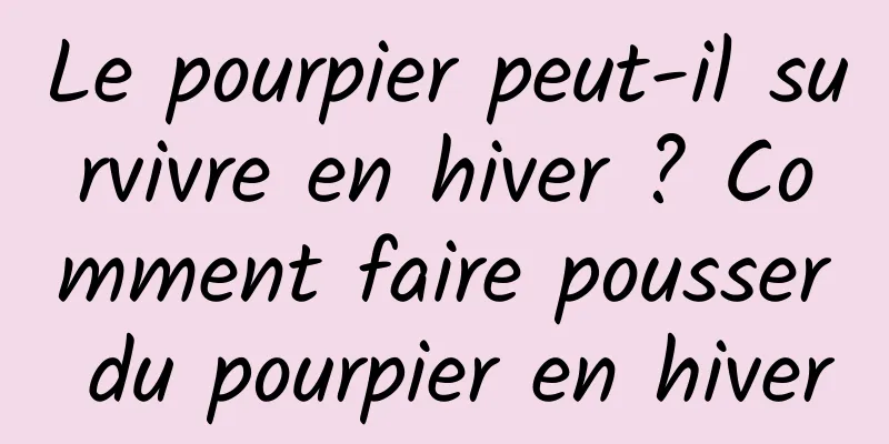 Le pourpier peut-il survivre en hiver ? Comment faire pousser du pourpier en hiver
