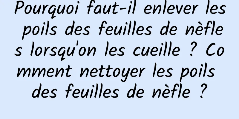 Pourquoi faut-il enlever les poils des feuilles de nèfles lorsqu'on les cueille ? Comment nettoyer les poils des feuilles de nèfle ?